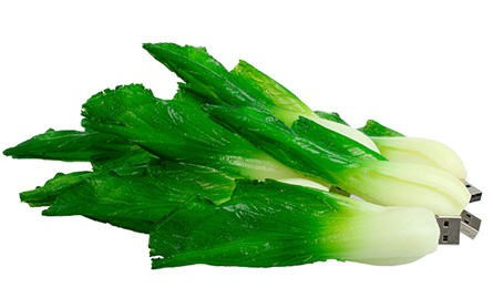 usb cabbage