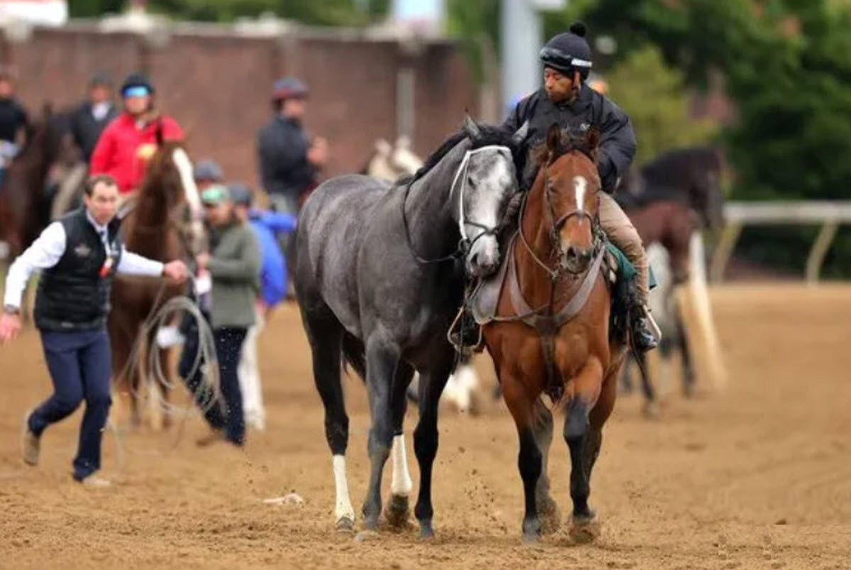 Kentucky Derby horse scratch at the starting gate illustrating burst vs sustained performance